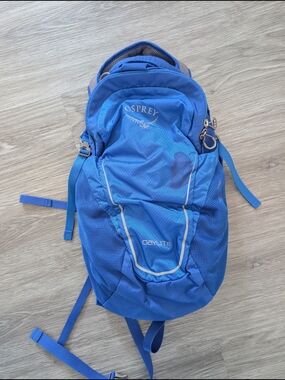 Osprey Daylite Blue Hiking Backpack